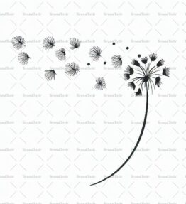 Löwenzahnsamen im Wind